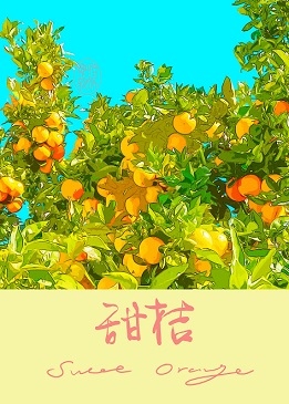 ۷