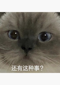 ǿĺһ