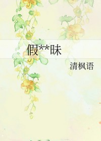 ��װ��������