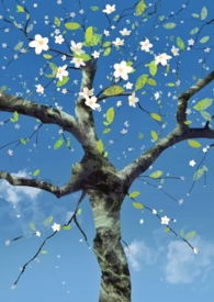 ���˶�ƪ��кϼ�����