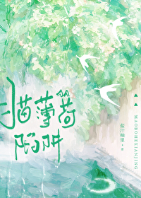 è�����������