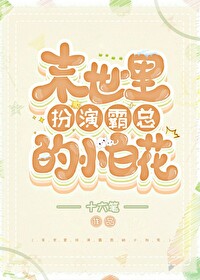 ĩ������ݰ��ܵ�С�׻�����