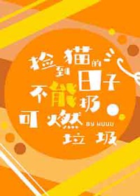 [����] ��è�����Ӳ����ӿ�ȼ��������