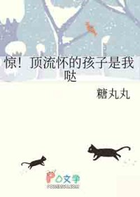 �����������ĺ��������շ���