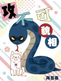 ������ò�����