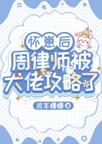 ���̺�����ʦ�����й����˷���