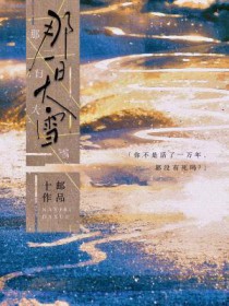 ��һ�մ�ѩ����