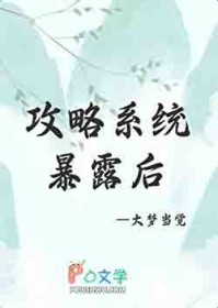 ���Գɹ���ϵͳ��¶�˷���