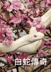 ���ߴ������