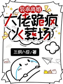 װ����飬���й����᳡����