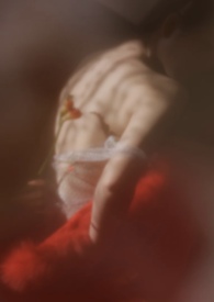 ������ľ(У԰1v1)����