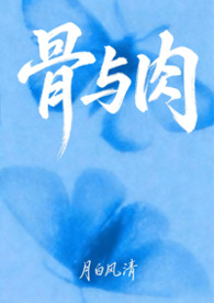 �����⣨ĸ���ĺϼ�������