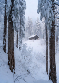 �ֳ�����