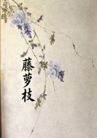 ����֦����