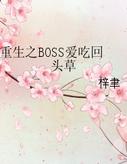 ֮BOSSԻͷݷ