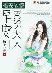 񫣺簲BOSS˷